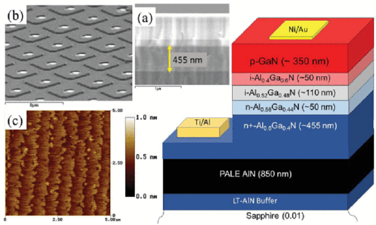 Geiger-Mode Operation of AlGaN Avalanche Photodiodes at 255 nm
