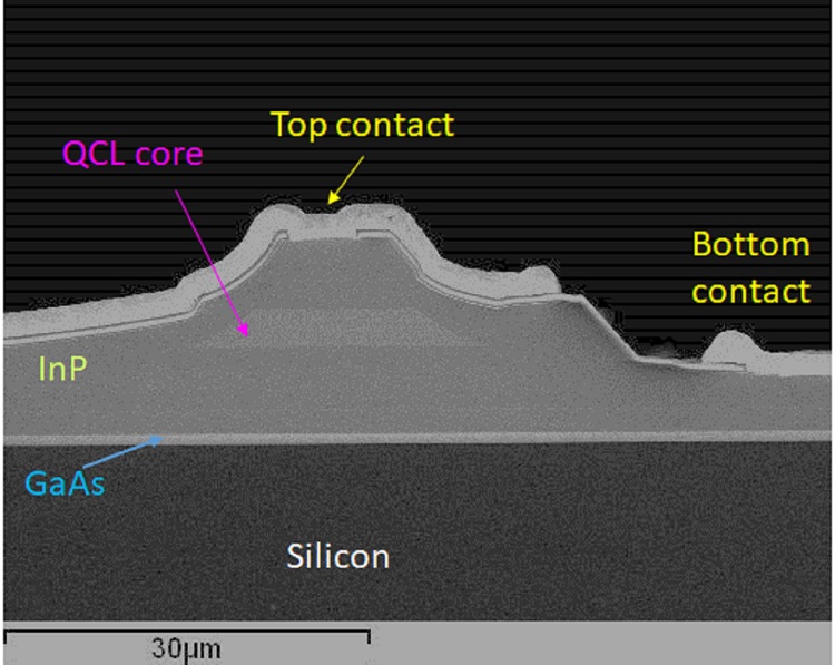 High Power, Room Temperature InP-Based Quantum Cascade Laser Grown on Si